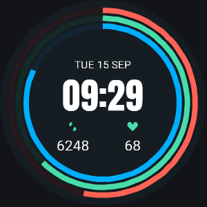 Vital Rings watch face with sample data